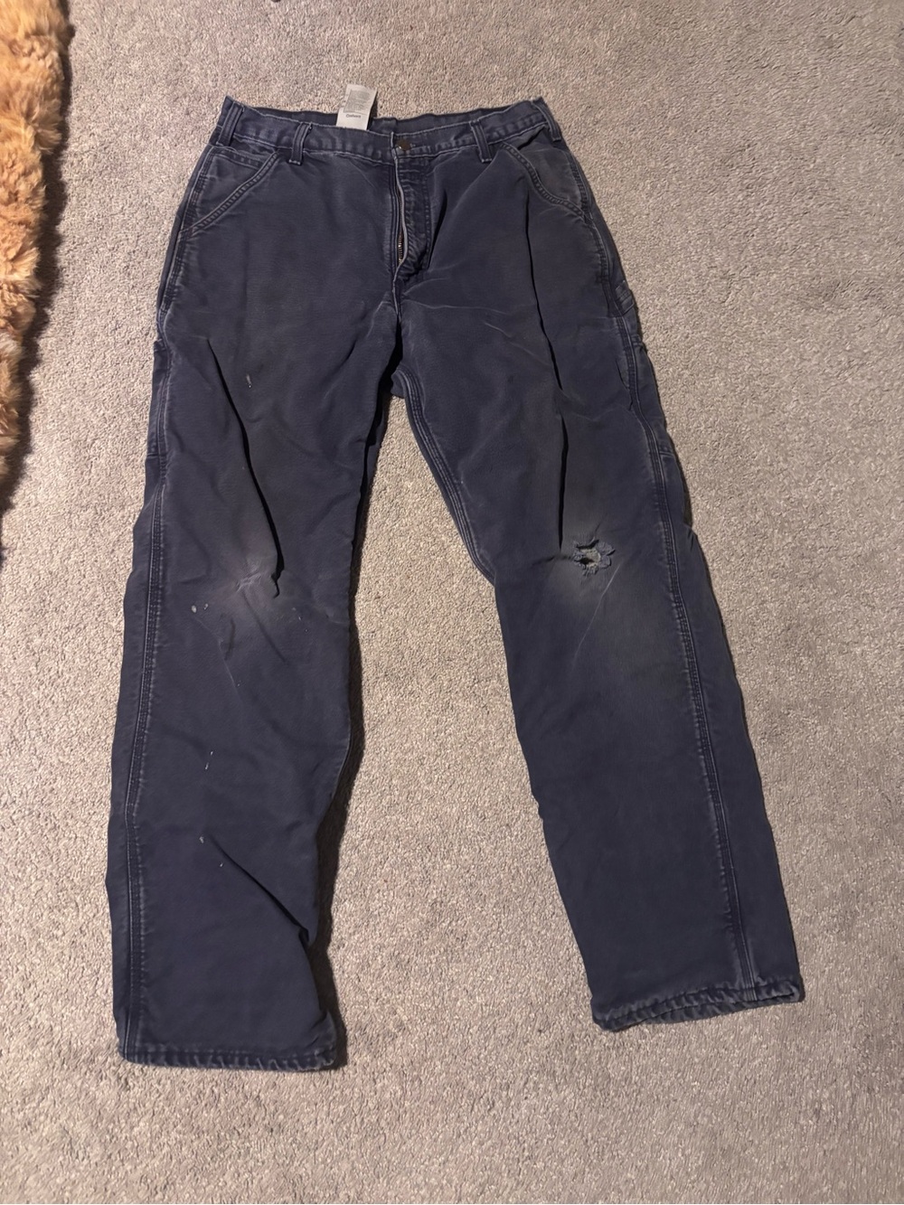 Purple Carhartt pants